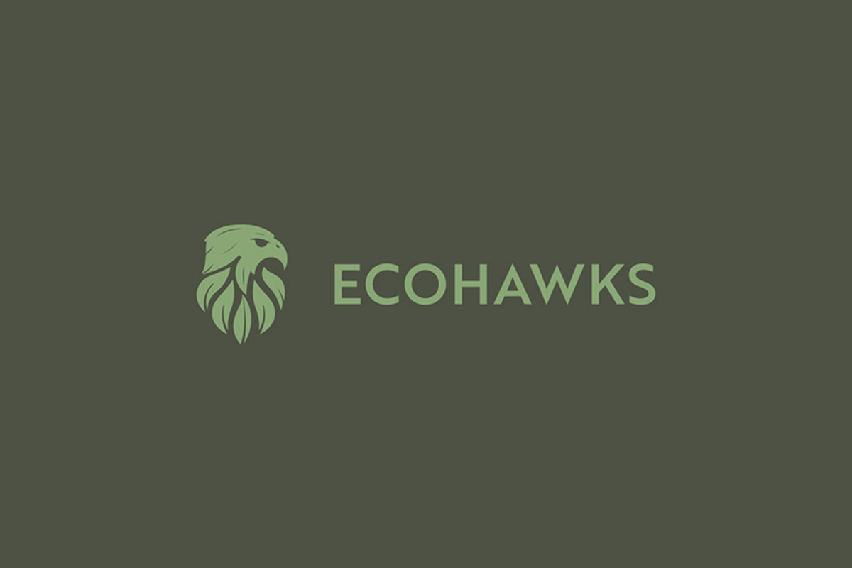 国外Ecohawks品牌VI设计