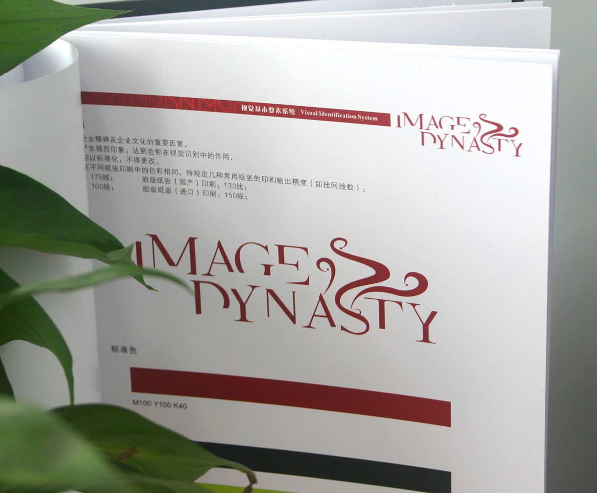 Image Dynasty缔国造型vi手册