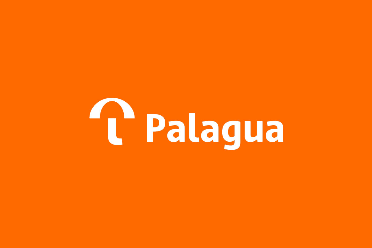 Palagua台西代辦VI设计