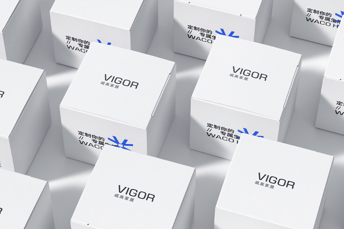 VIGOR威高家居包装盒