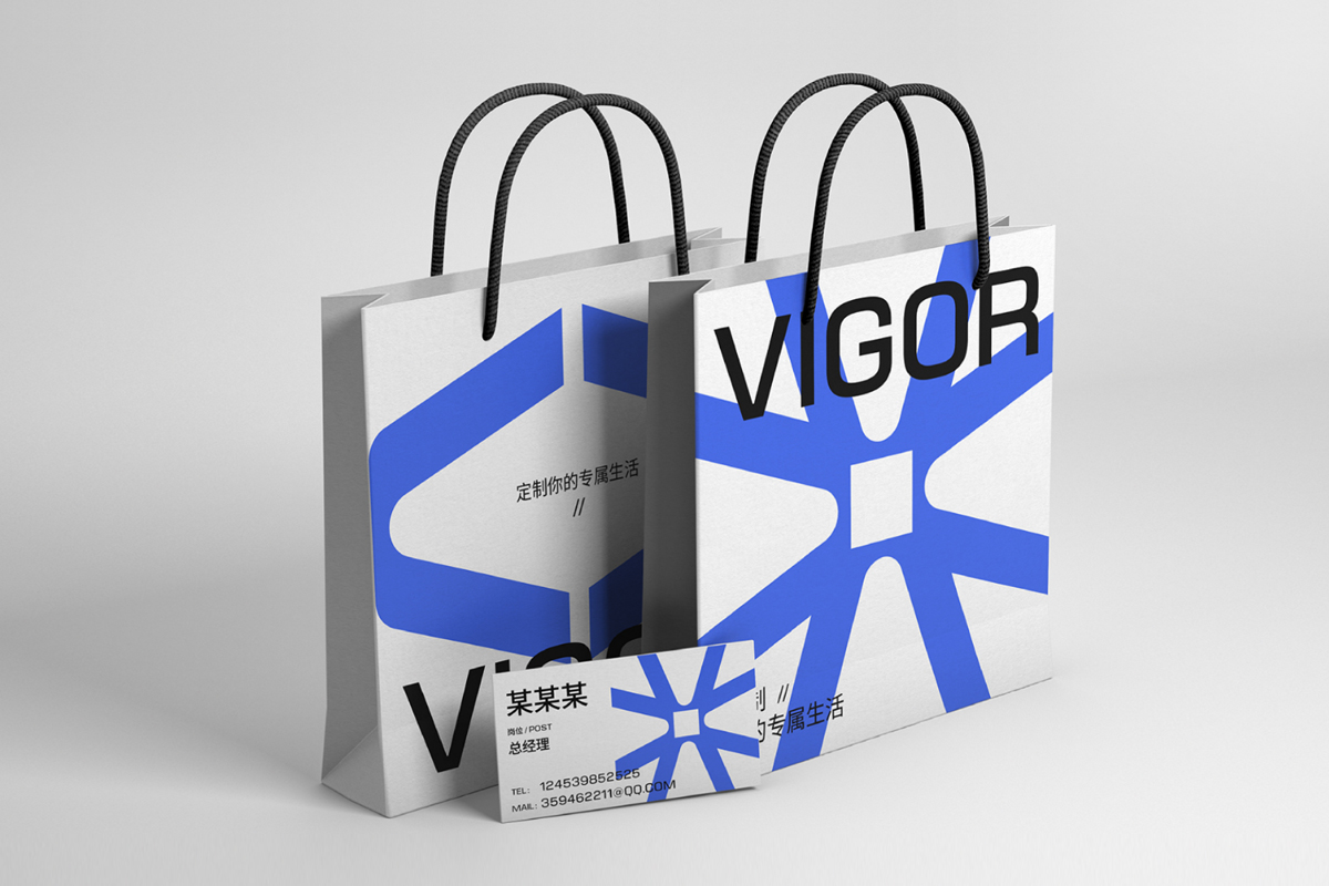 VIGOR威高家居袋子
