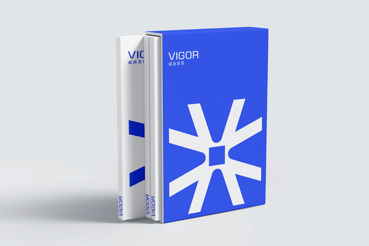 VIGOR威高家居海报