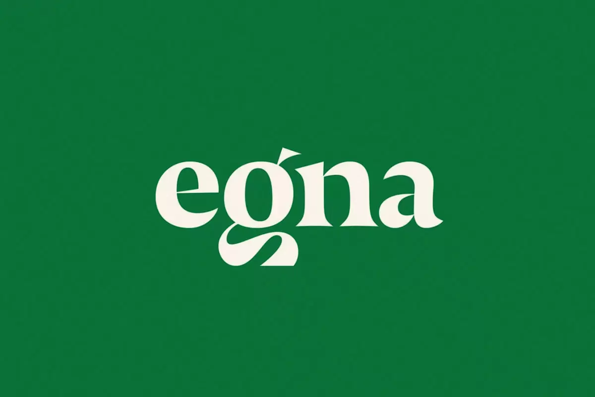 Egna购物中心品牌形象设计-购物行业VI设计方案