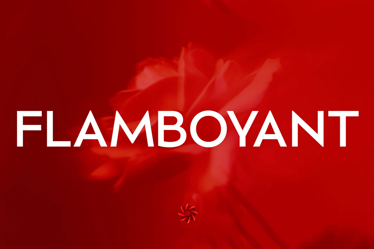 巴西Flamboyant集团