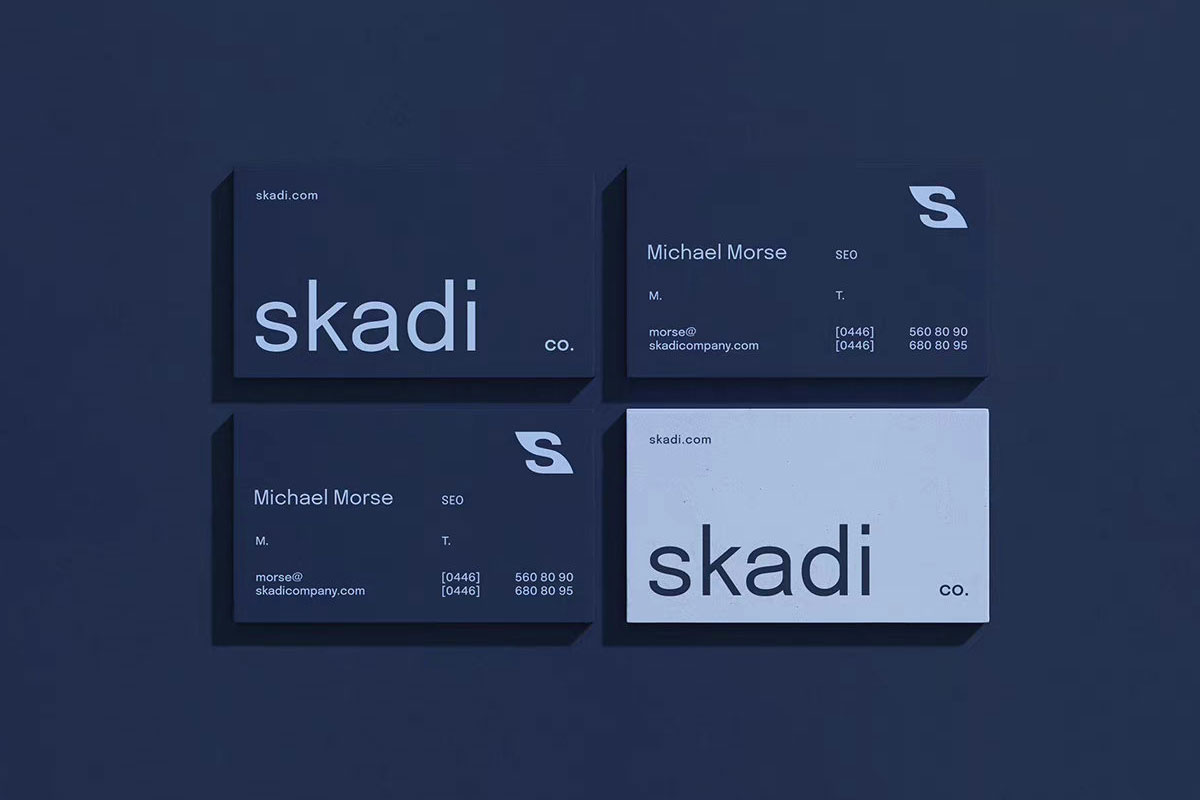 Skadi渔业品牌形象设计与VI设计