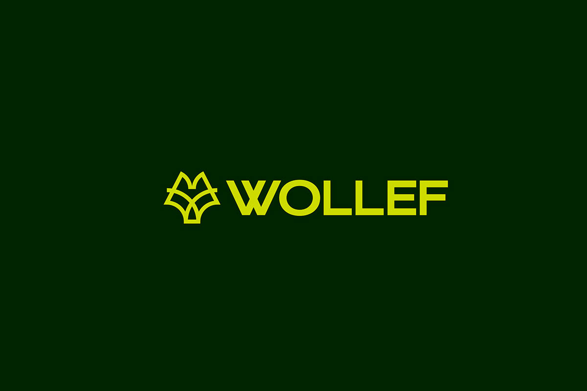 Wollef媒体