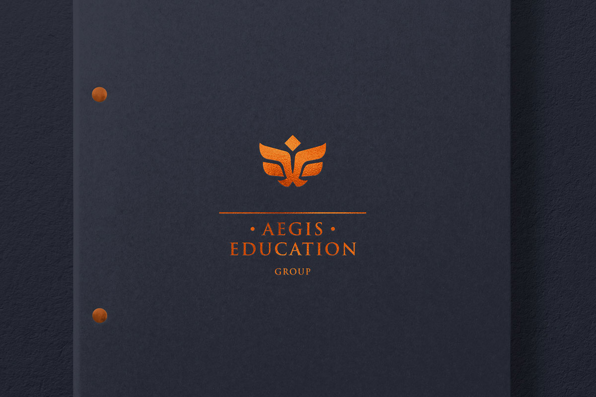 Aegis Education Group咨询