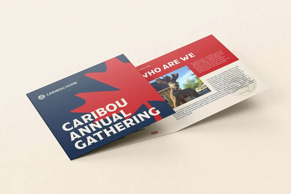 Caribou Home在线商店品牌形象设计与VI设计