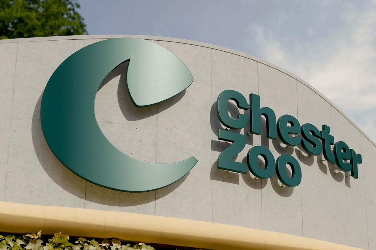 Chester动物园品牌形象设计与VI设计