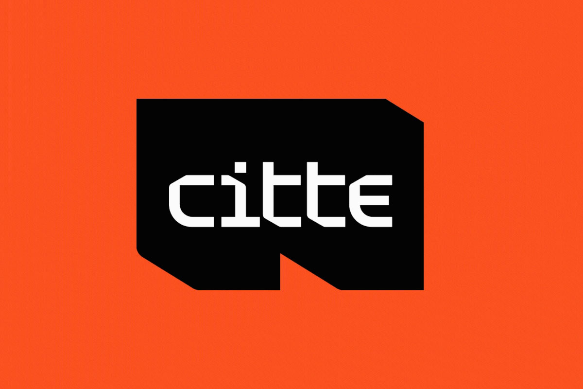 Citte服务管理品牌形象设计案例-机构行业VI设计方案
