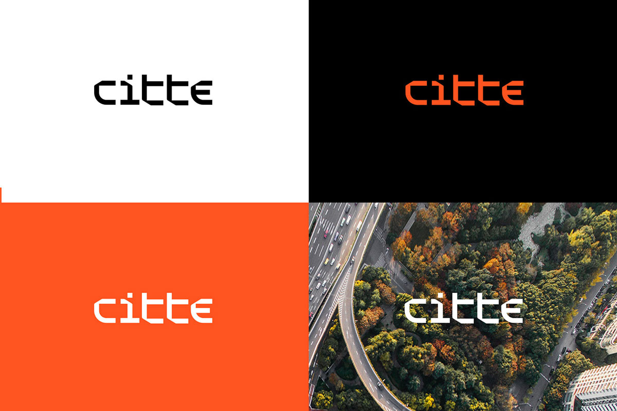 Citte服务管理品牌形象设计案例-机构行业VI设计方案