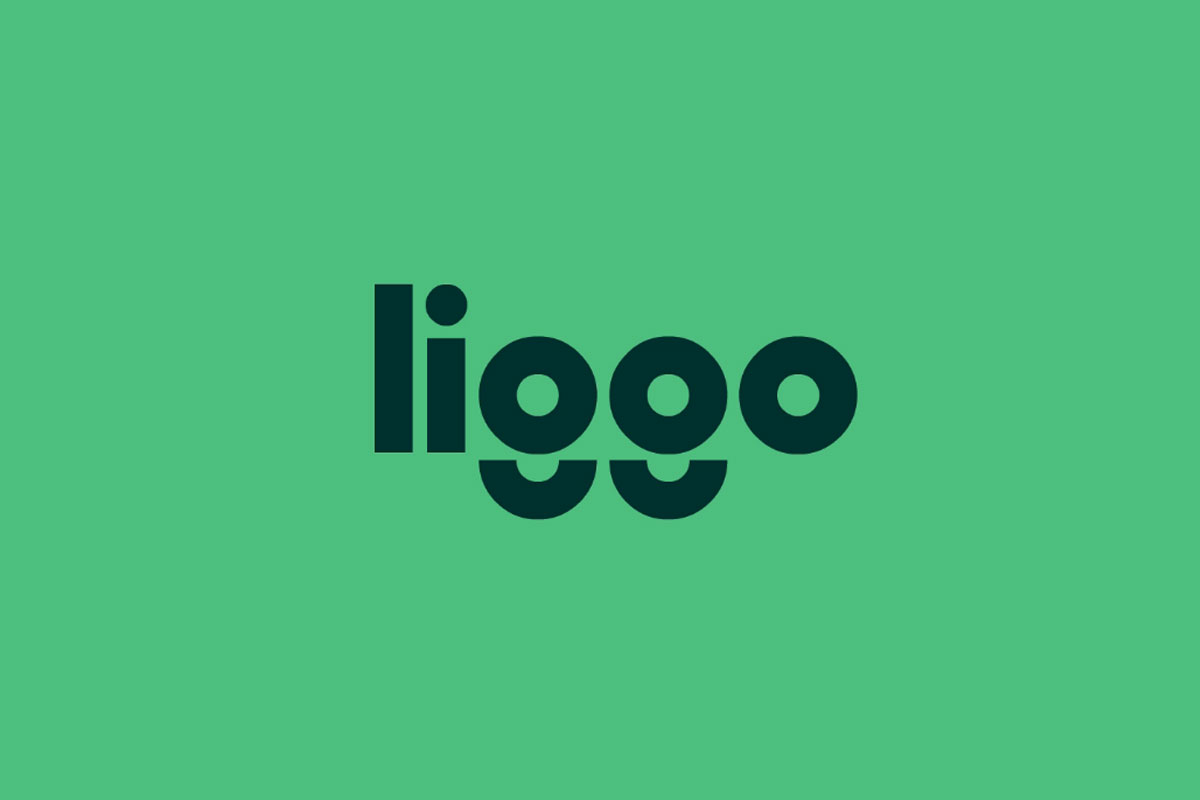 Liggo管理平台