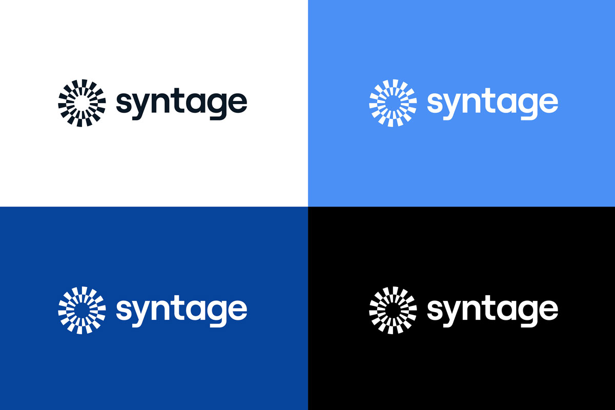Syntage数据