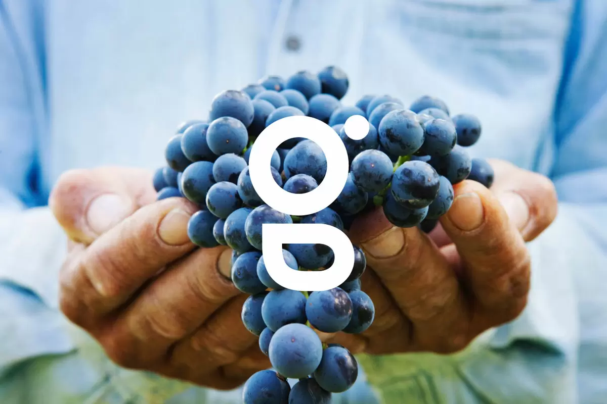 SMAG农业智能化品牌形象设计与VI设计