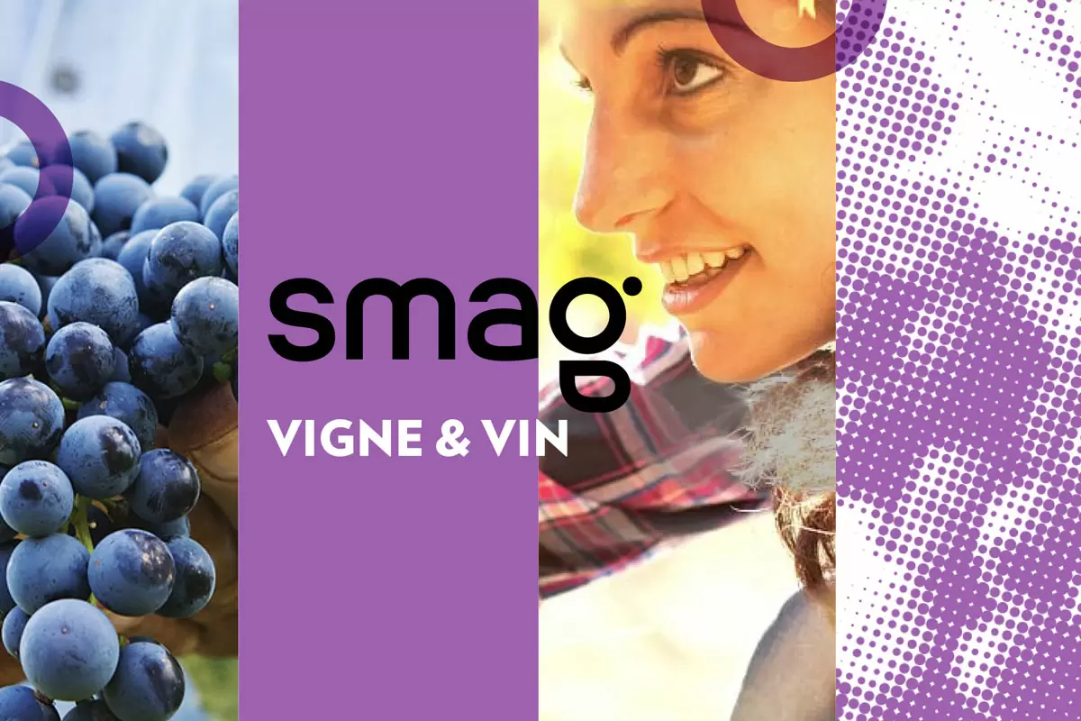 SMAG农业智能化海报