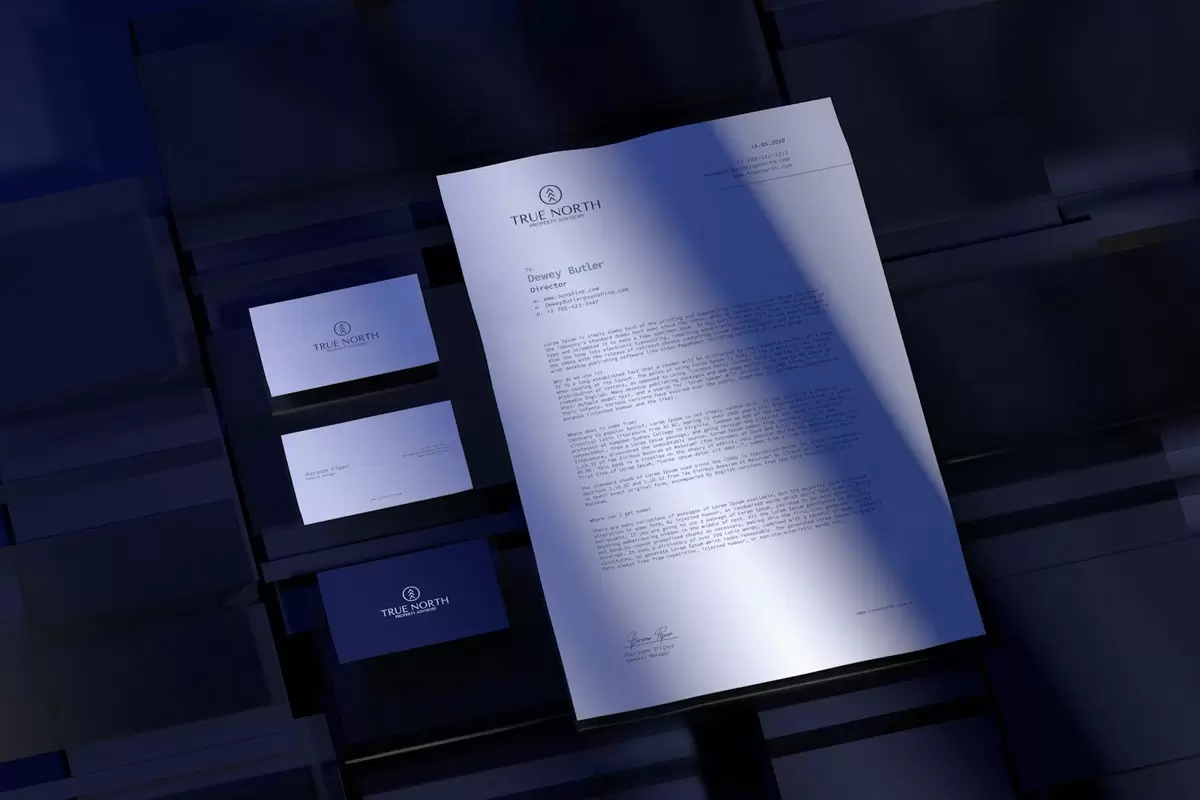 True North房地产vi