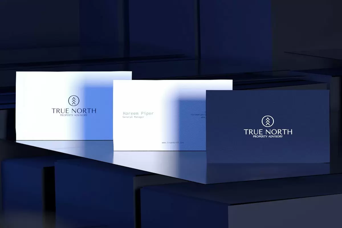 True North房地产卡片