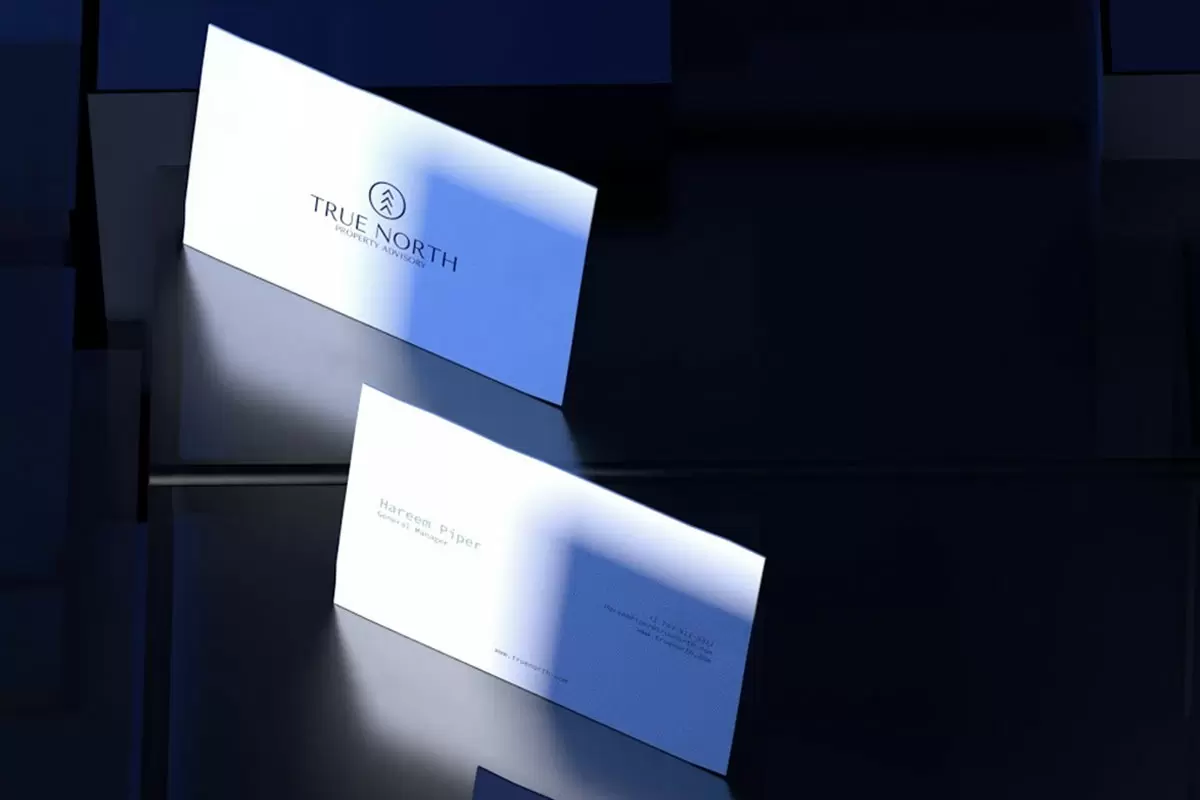 True North房地产品牌形象设计与VI设计