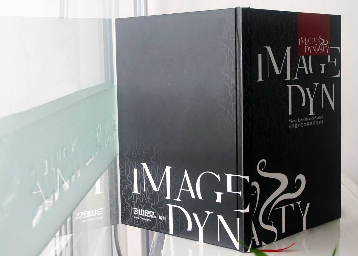 Image Dynasty缔国造型vi手册