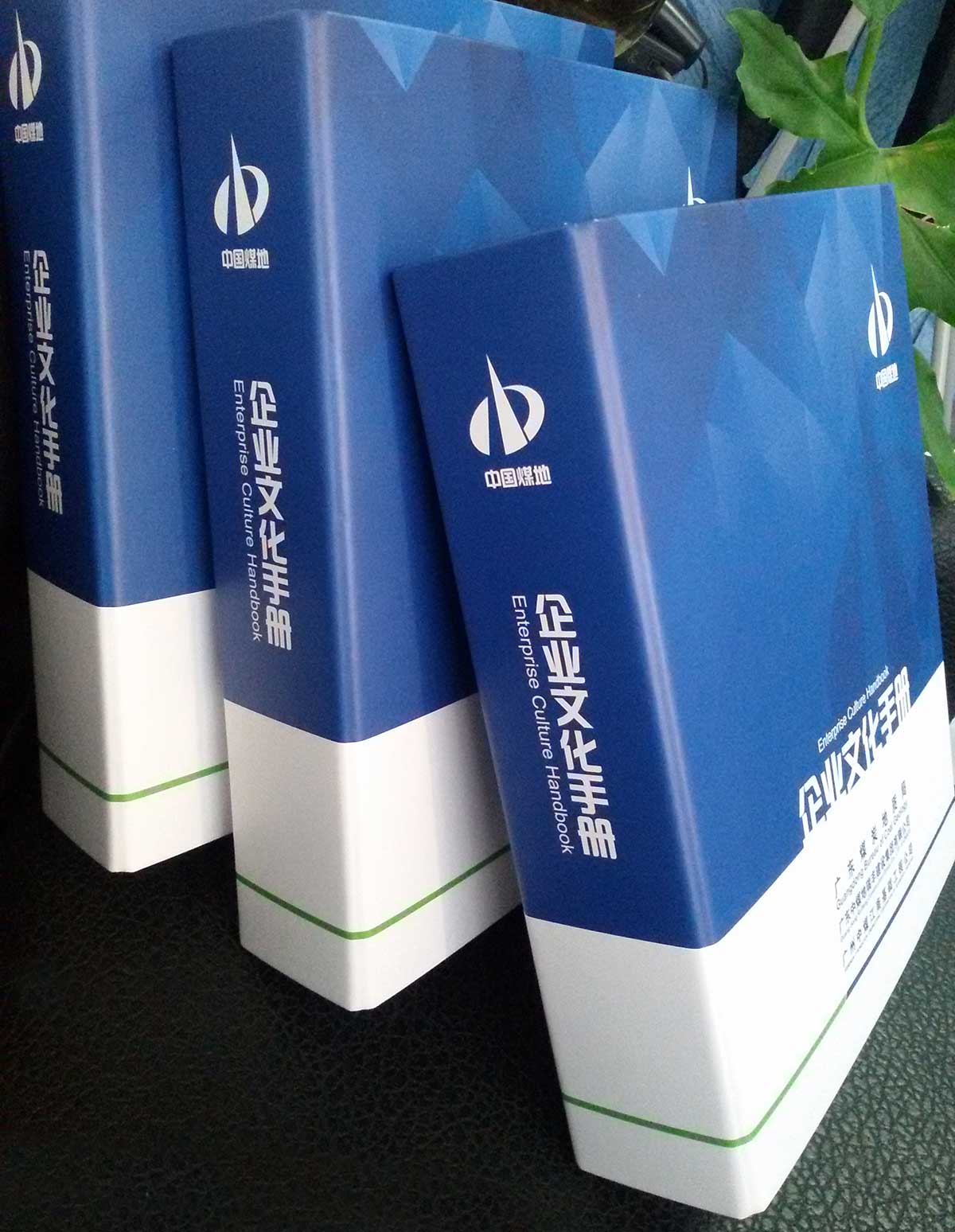 专业VI设计公司案例展示