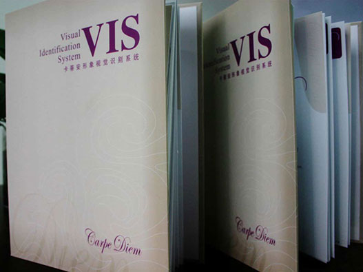 冰箱VI设计：打造品牌视觉印象