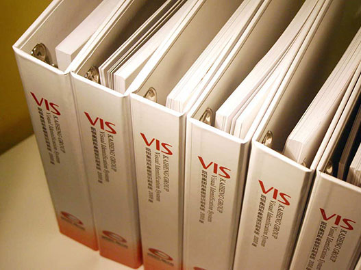 VI品牌视觉设计：塑造企业独特品牌形象的艺术